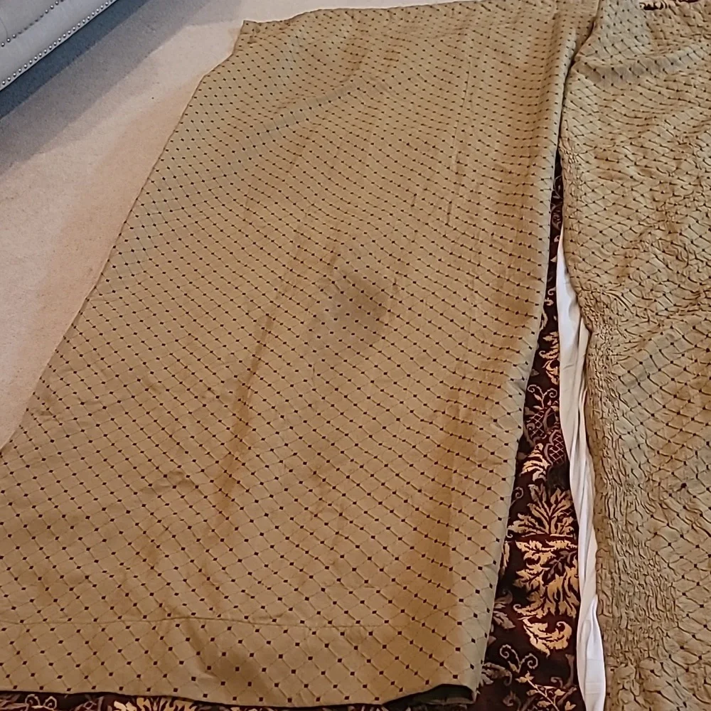 Elegant Tan Curtains